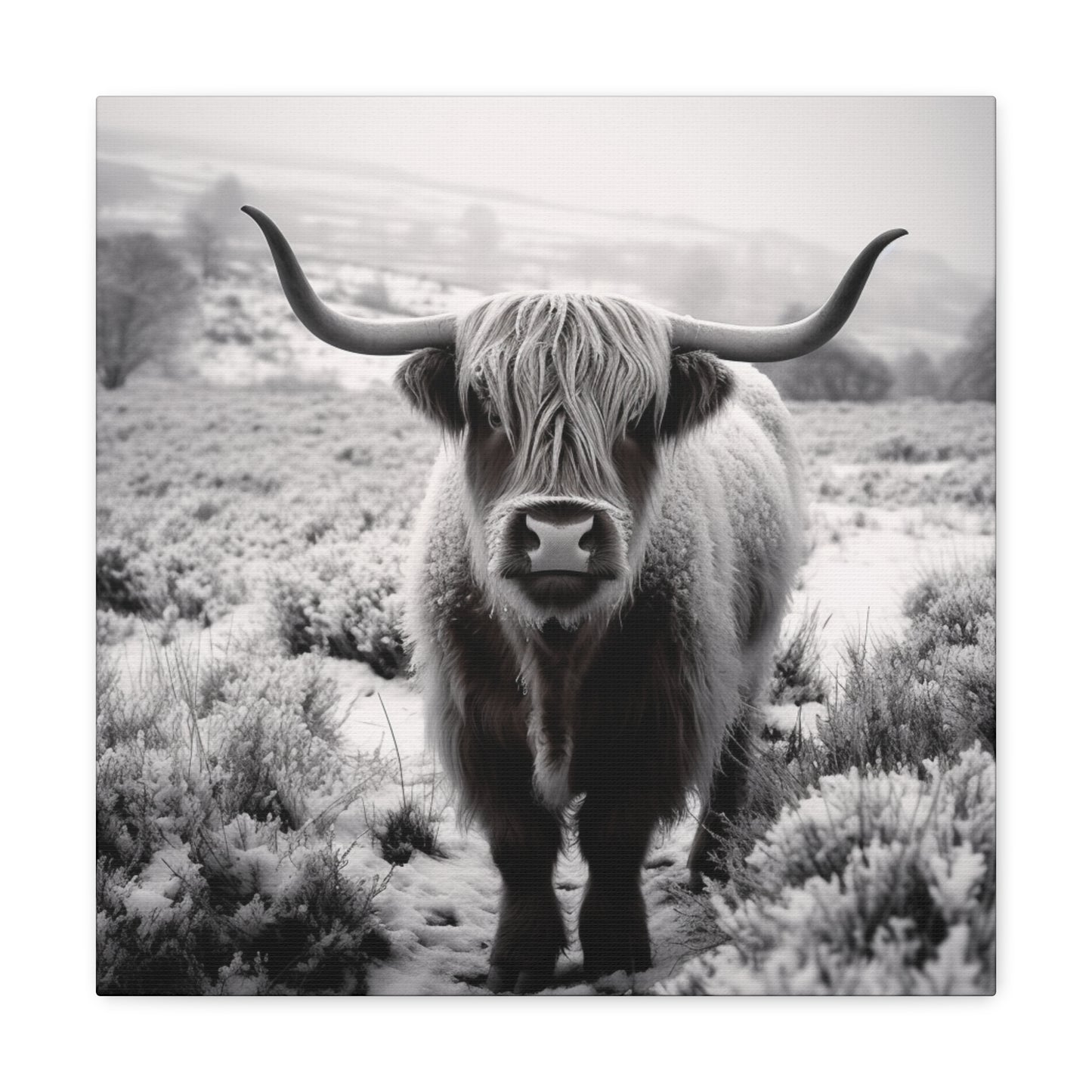 "Black & White Highland Cow" Wall Art - Weave Got Gifts - Unique Gifts You Won’t Find Anywhere Else!