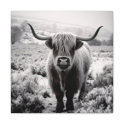 "Black & White Highland Cow" Wall Art - Weave Got Gifts - Unique Gifts You Won’t Find Anywhere Else!