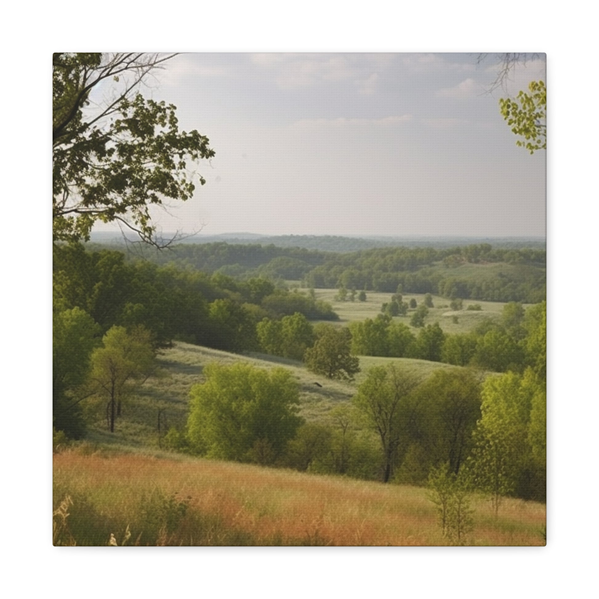 "Rolling Hills Of Missouri" Wall Art - Weave Got Gifts - Unique Gifts You Won’t Find Anywhere Else!