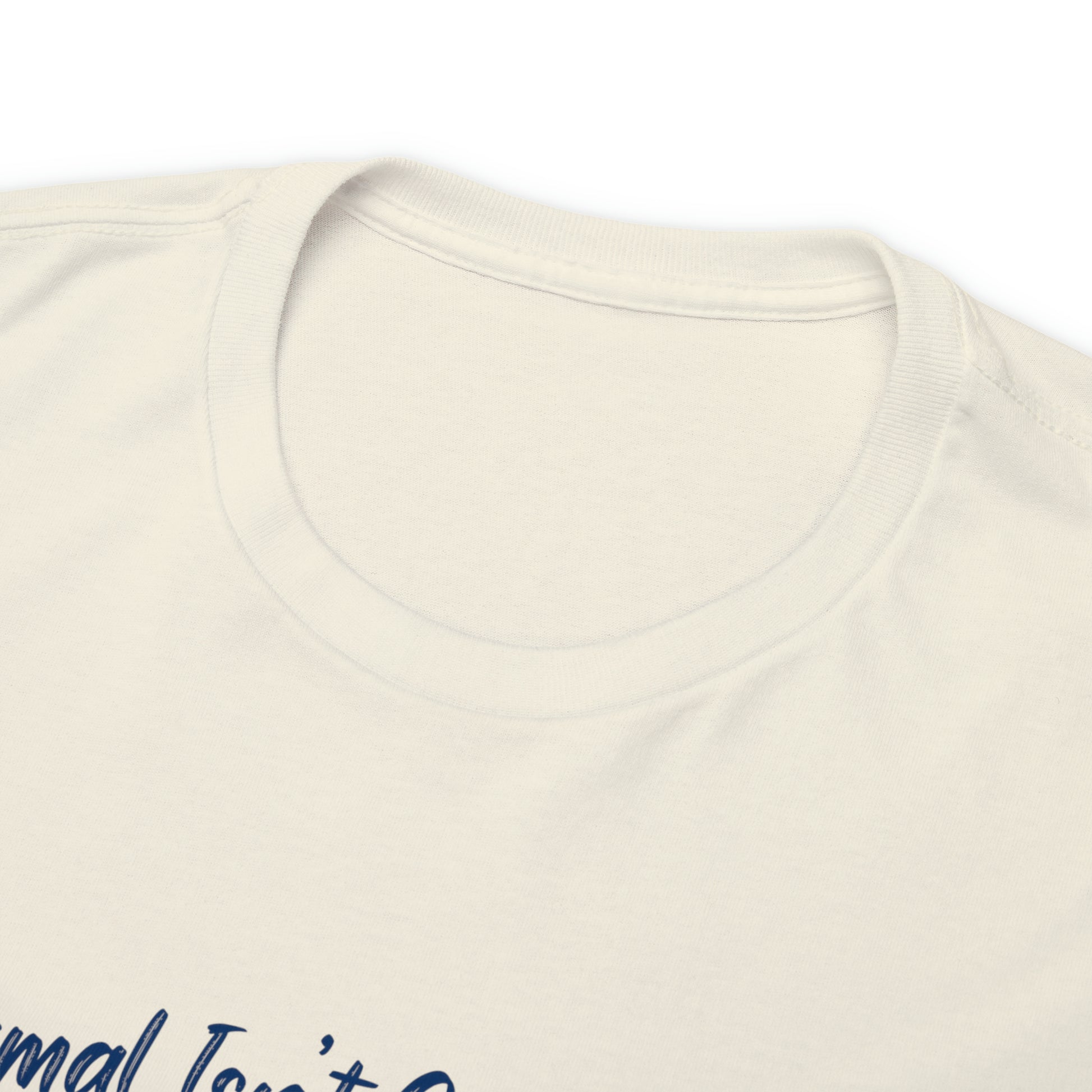 "Normal Isn't Coming Back, Jesus Is" T-Shirt - Weave Got Gifts - Unique Gifts You Won’t Find Anywhere Else!