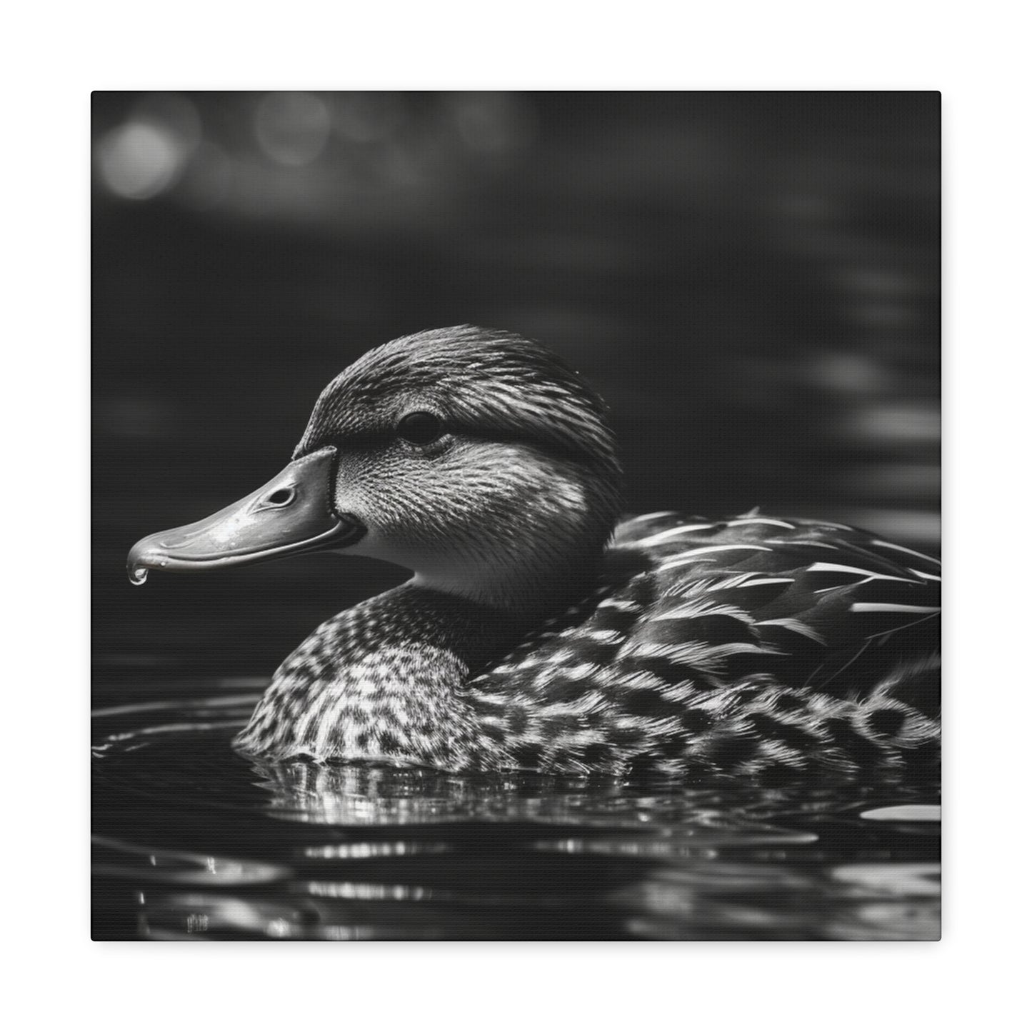 Black and white mallard duck wall decor

