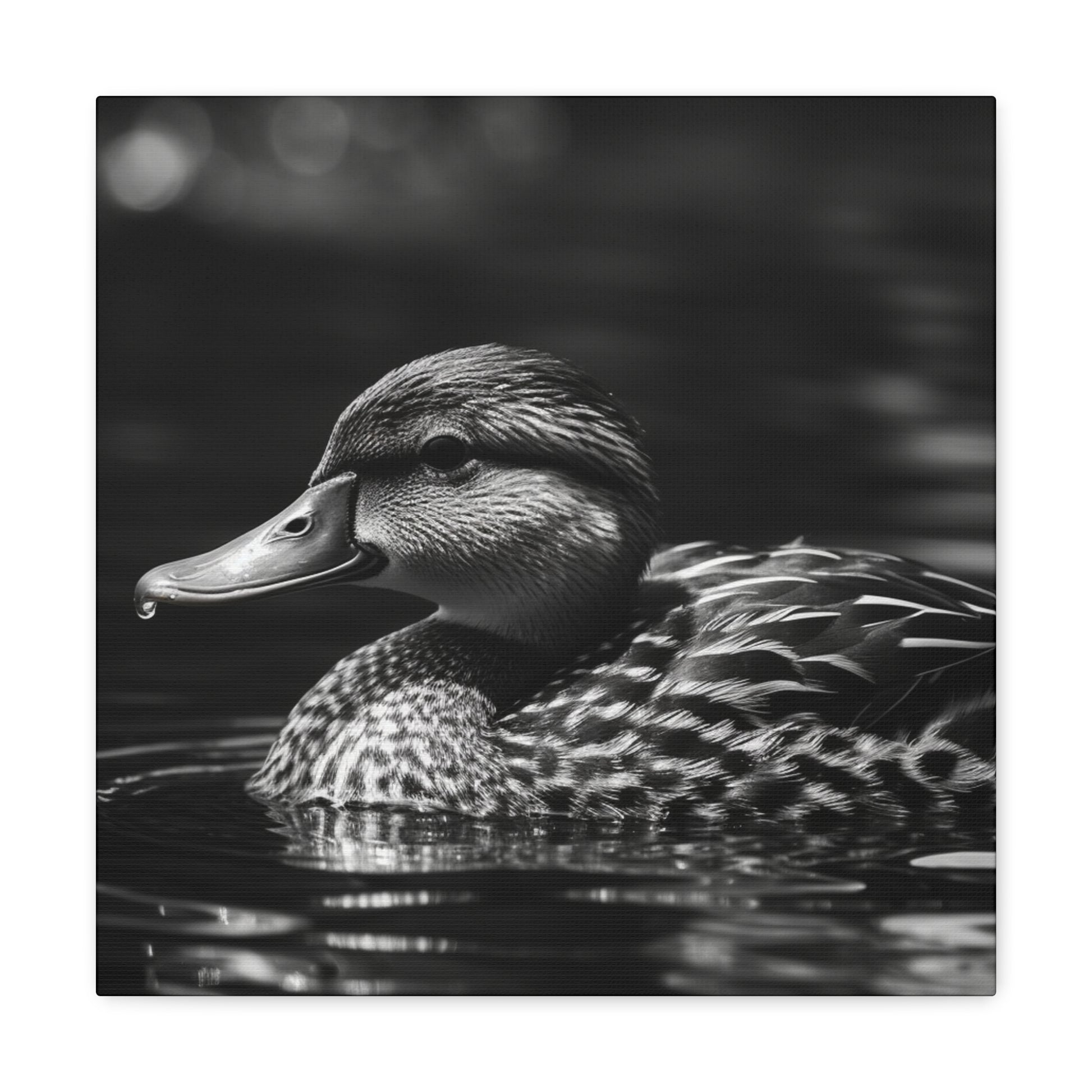 Black and white mallard duck wall decor
