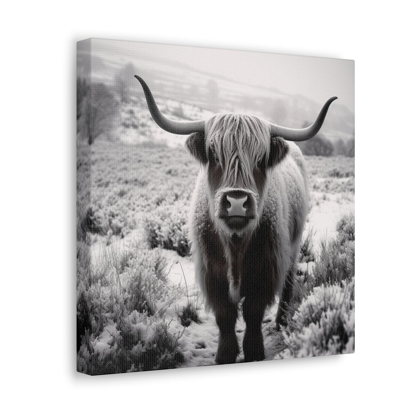 "Black & White Highland Cow" Wall Art - Weave Got Gifts - Unique Gifts You Won’t Find Anywhere Else!