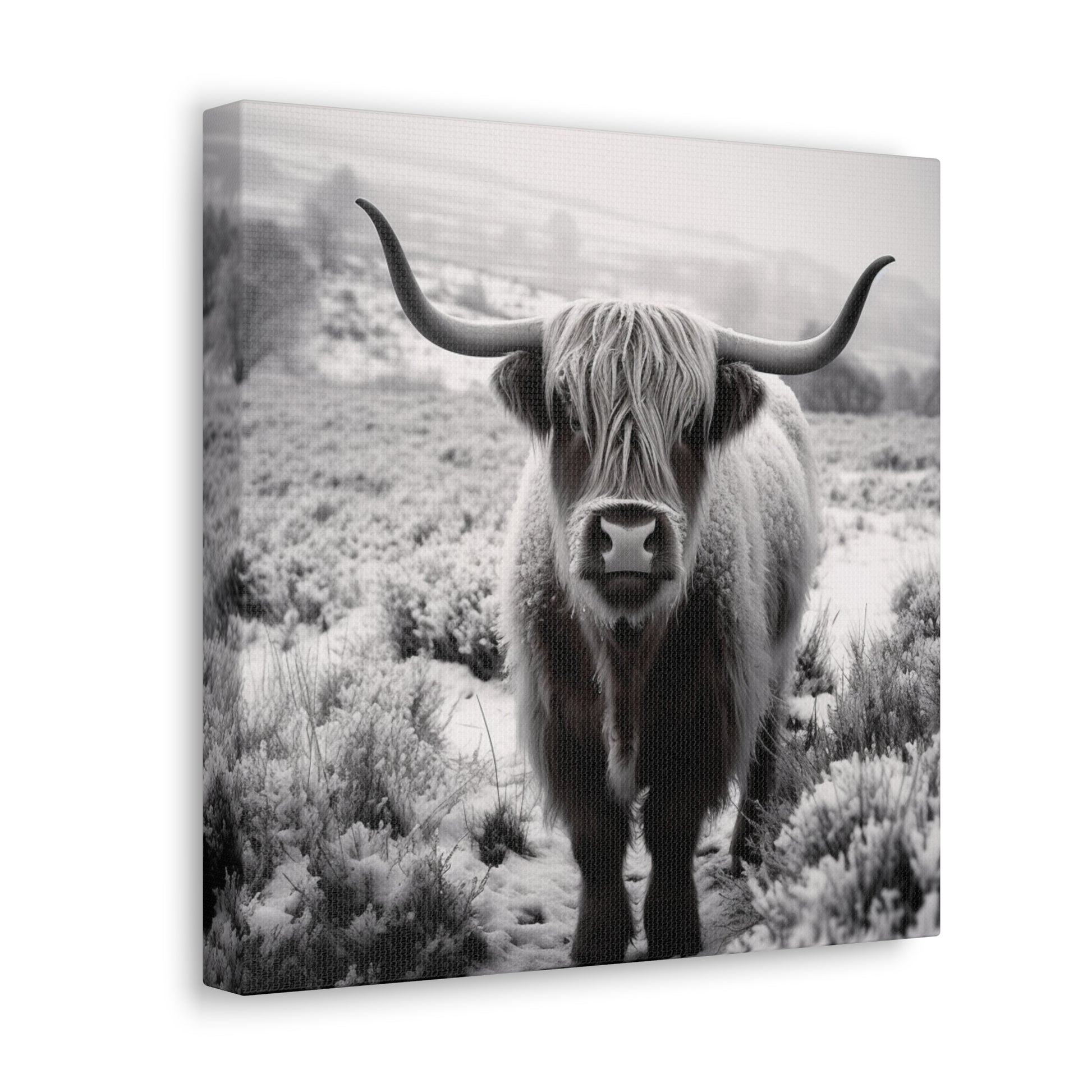 "Black & White Highland Cow" Wall Art - Weave Got Gifts - Unique Gifts You Won’t Find Anywhere Else!