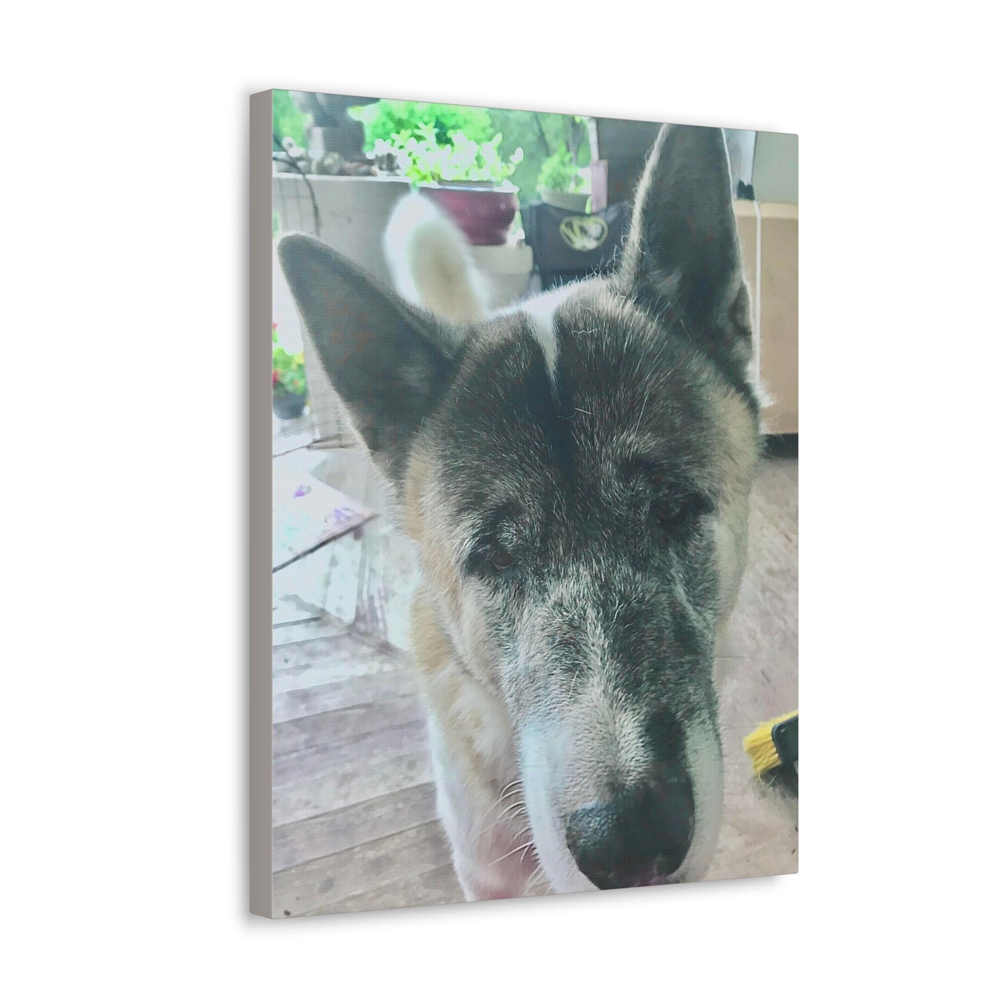 "Dog Photo" Custom Wall Art - Weave Got Gifts - Unique Gifts You Won’t Find Anywhere Else!