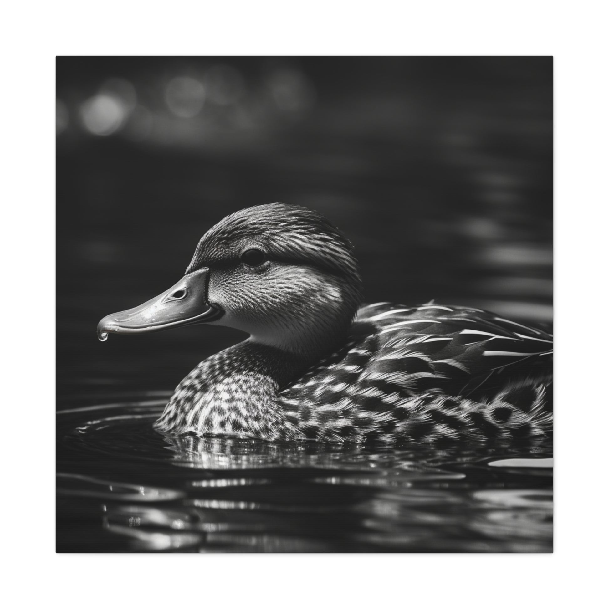 Elegant mallard wall art for nature lovers
