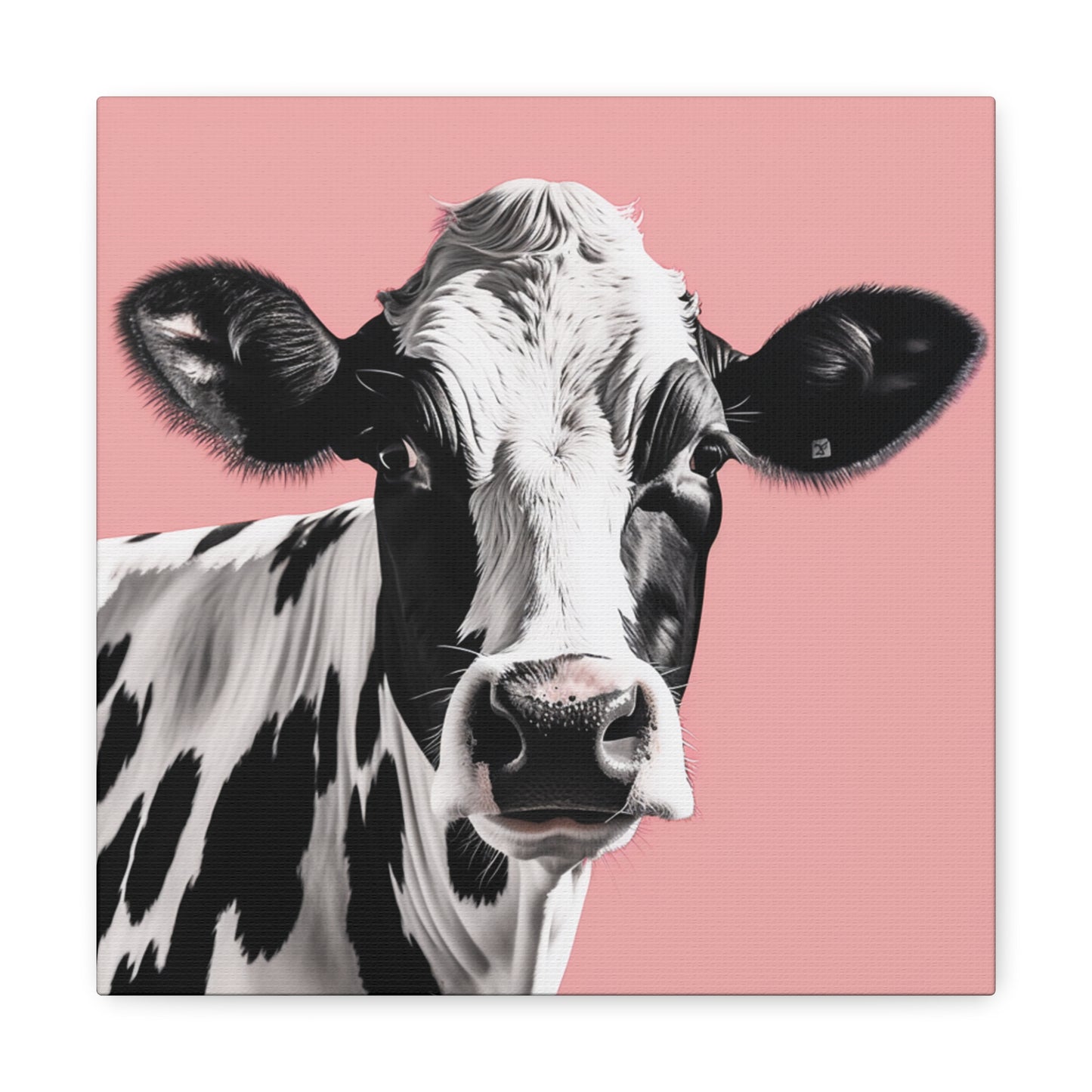 Pink background cow painting
