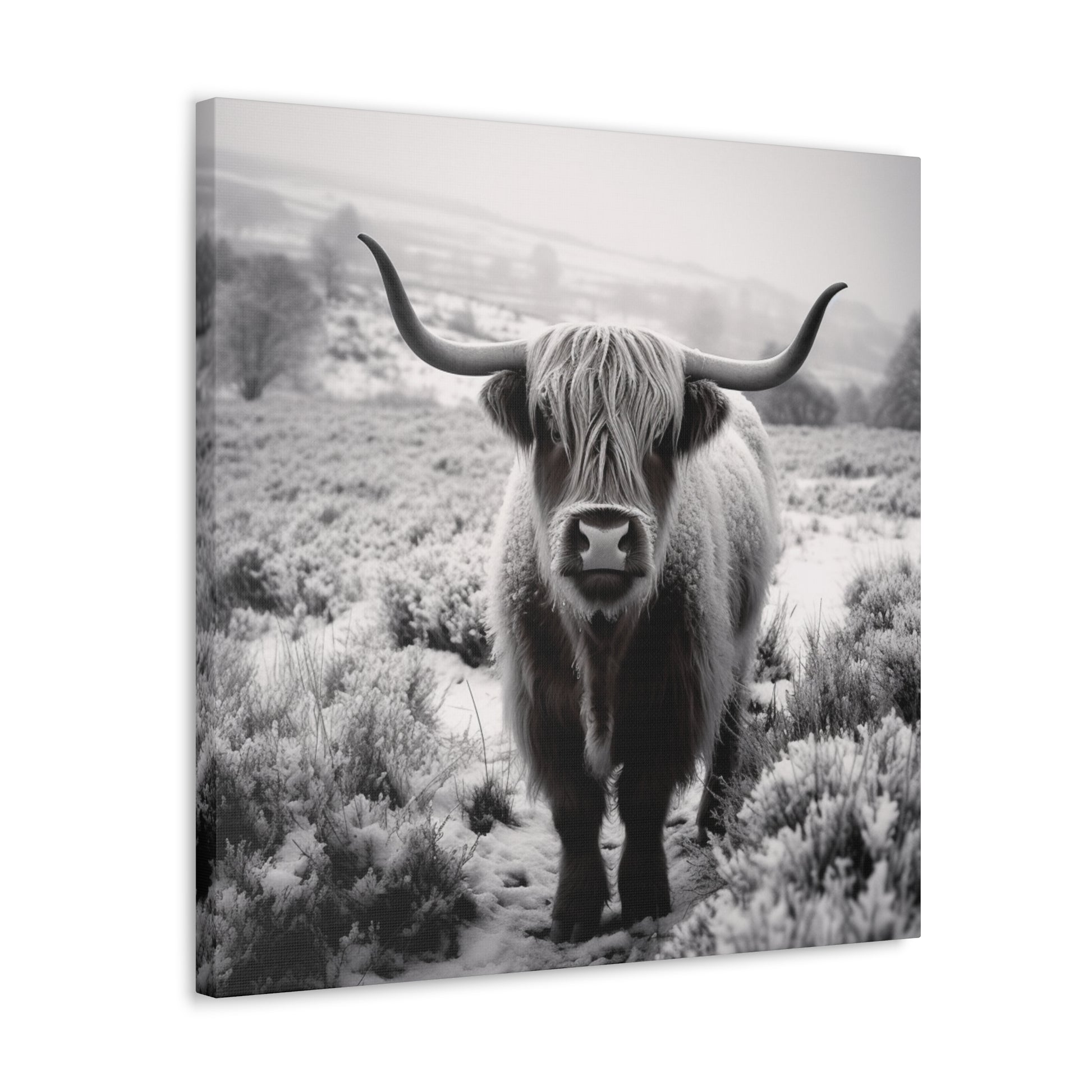 "Black & White Highland Cow" Wall Art - Weave Got Gifts - Unique Gifts You Won’t Find Anywhere Else!