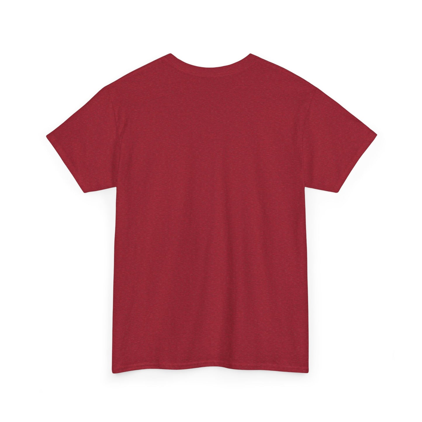 Y'all Need Proverbs Not Pronouns T-Shirt