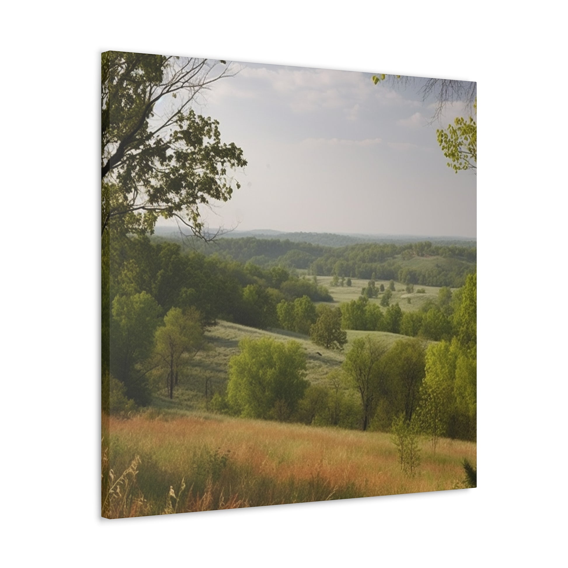 "Rolling Hills Of Missouri" Wall Art - Weave Got Gifts - Unique Gifts You Won’t Find Anywhere Else!