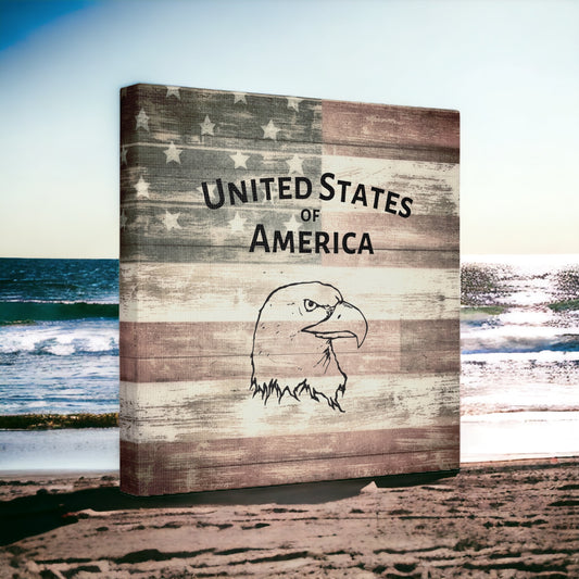 Patriotic wall art with bald eagle and flag
