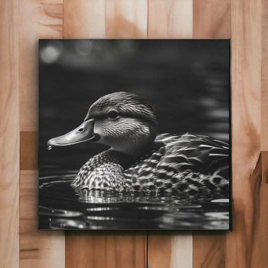 "Black & White Mallard Photo" Wall Art - Weave Got Gifts - Unique Gifts You Won’t Find Anywhere Else!
