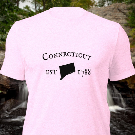 Connecticut established in 1788 t-shirt