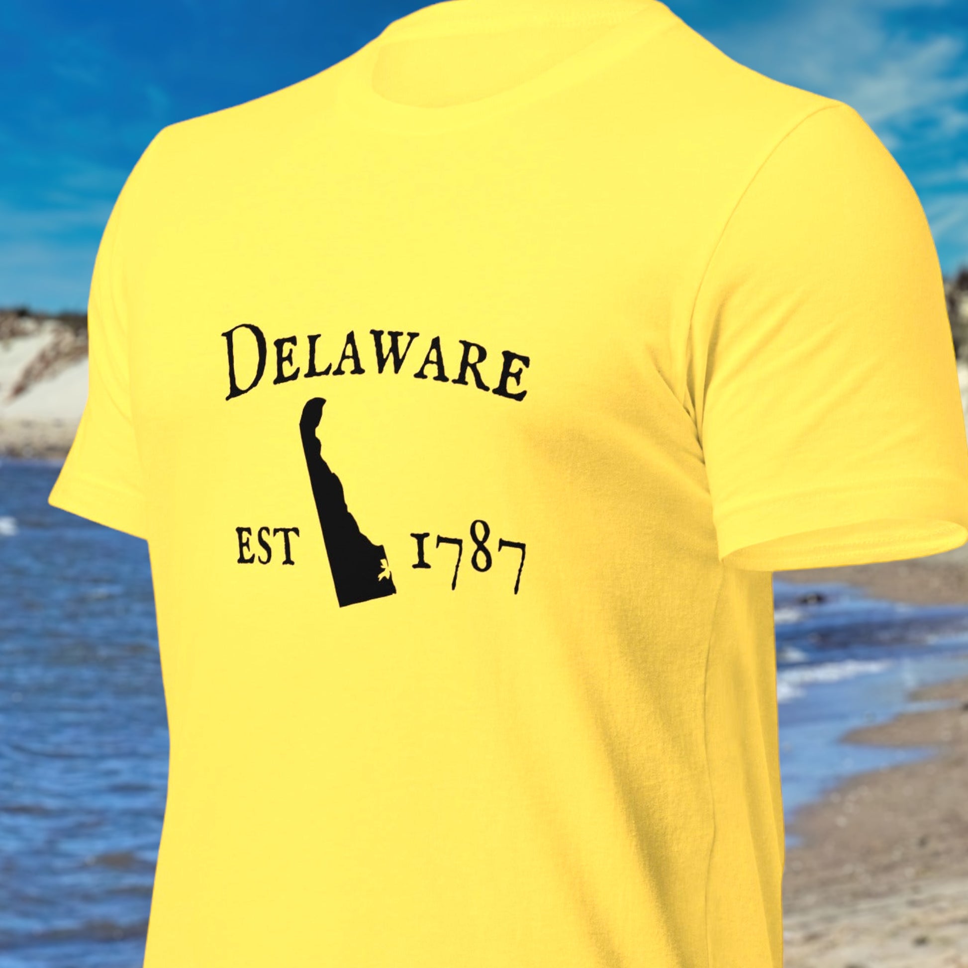 "Delaware Established In 1787" T-Shirt - Weave Got Gifts - Unique Gifts You Won’t Find Anywhere Else!
