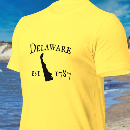 Delaware tee shirt with state outline and est. 1787
