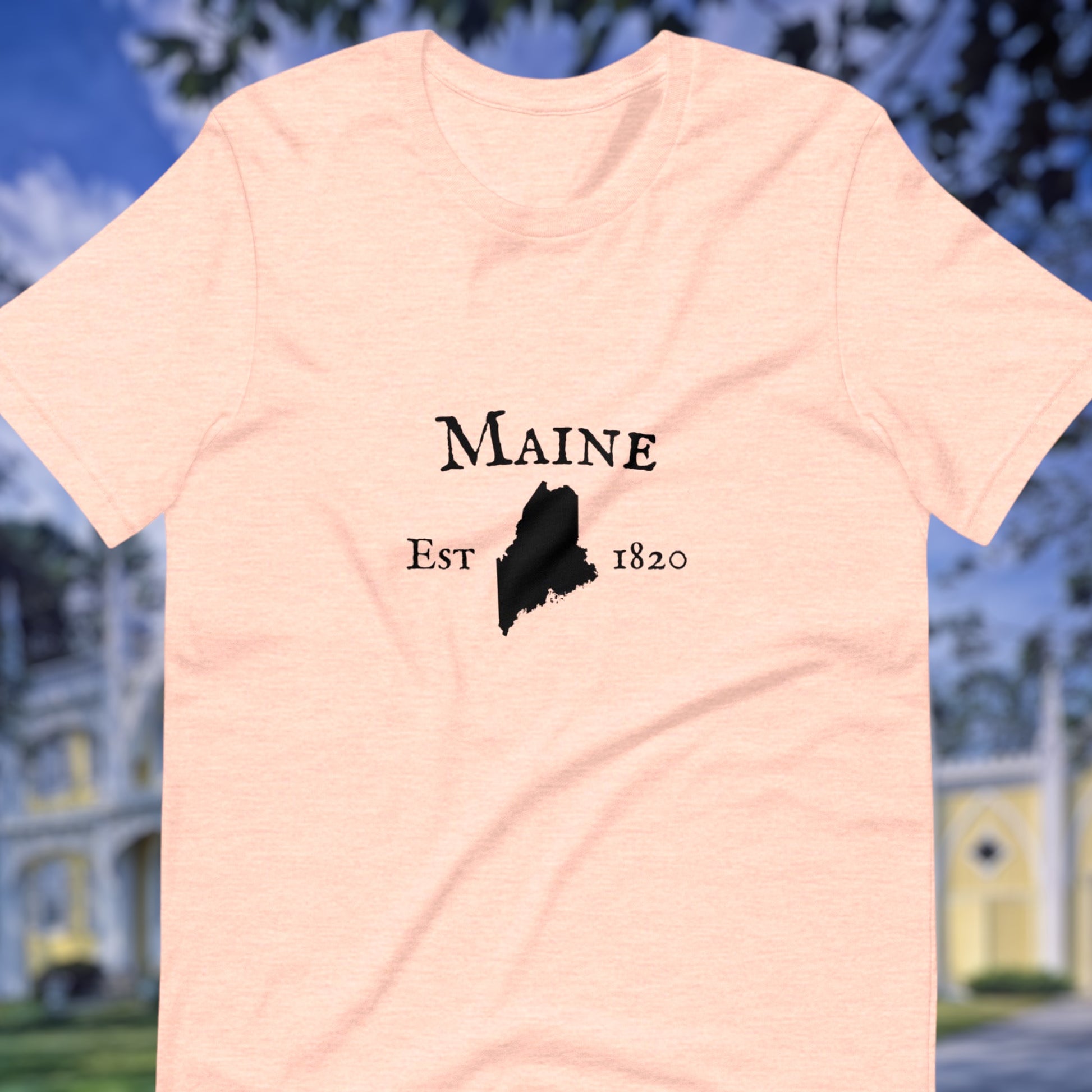 Maine t-shirt with state outline and est date
