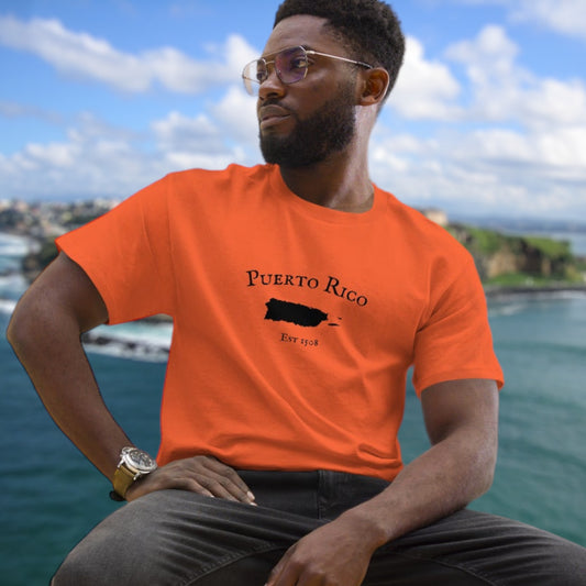 "Puerto Rico Established In 1508" cotton heritage men’s t-shirt