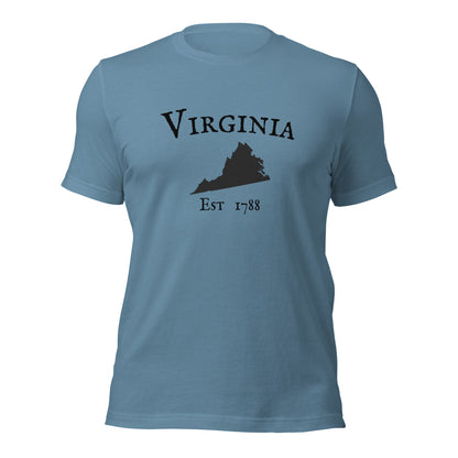 Bold graphic Virginia tee with state pride design
